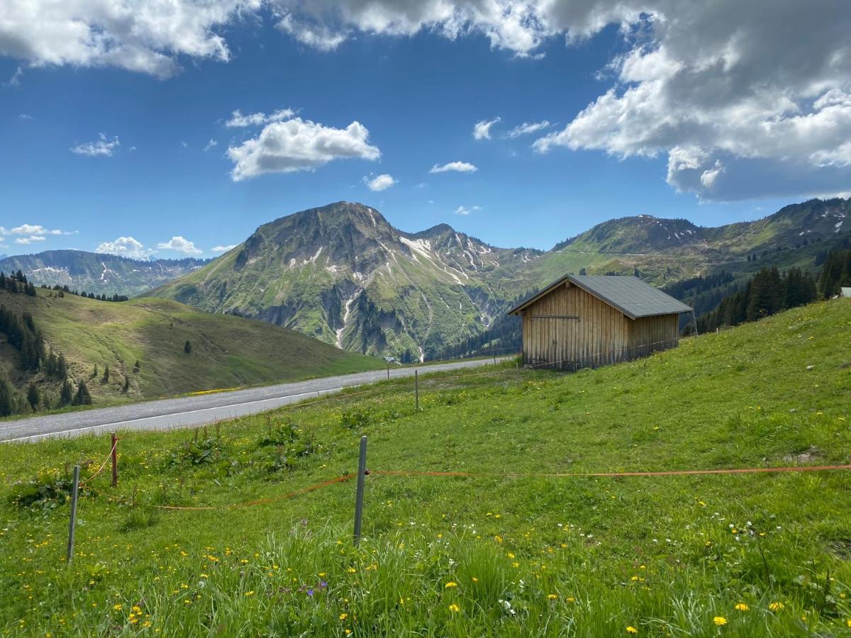 Apartment "Johann" Aktivurlaub Im Bregenzerwald メラウ エクステリア 写真