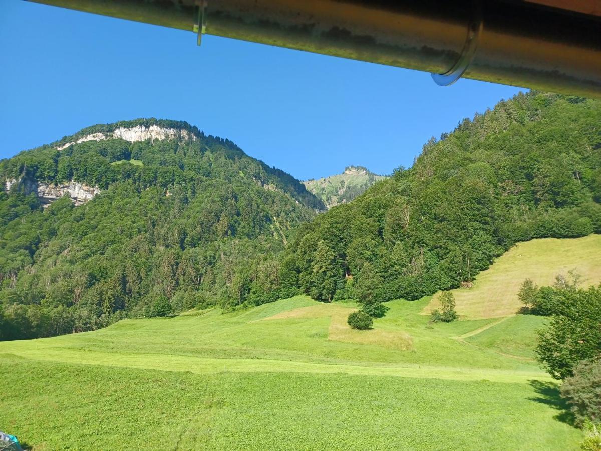Apartment "Johann" Aktivurlaub Im Bregenzerwald メラウ エクステリア 写真